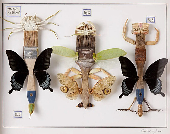 Motýli nátroví od Jana vankmajera, klasika eského surrealismu.