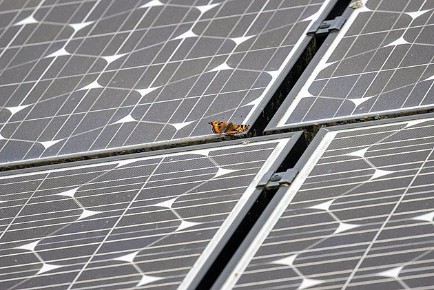 Solární elektrárny prospívají hmyzu a zvyšují biodiverzitu, zjistila studie