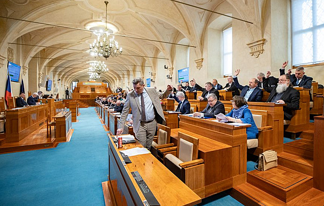 Dospělí si mohou legálně koupit lehké drogy kratom či HHC, schválil Senát