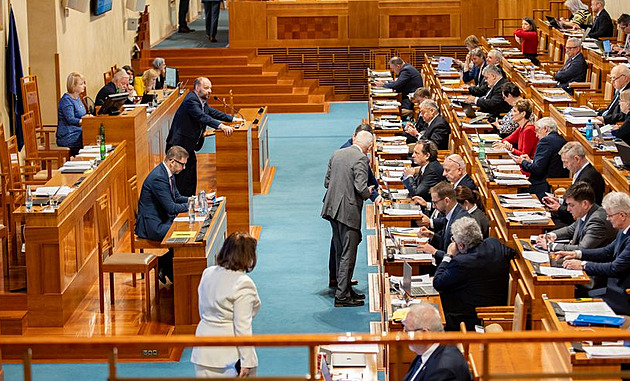 Senát rozhodne o nové definici znásilnění i výši příspěvku na péči