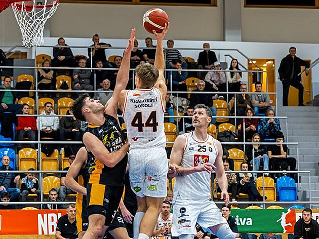 Velký test hradeckých basketbalistů: uhájit první místo je první cíl v sezoně