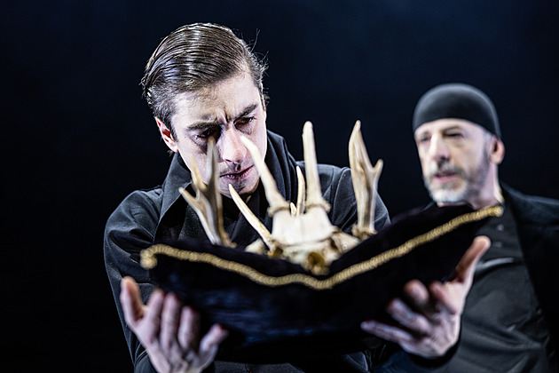 RECENZE: Jen sám dobrý Hamlet na skvělého Hamleta v Národním nestačí