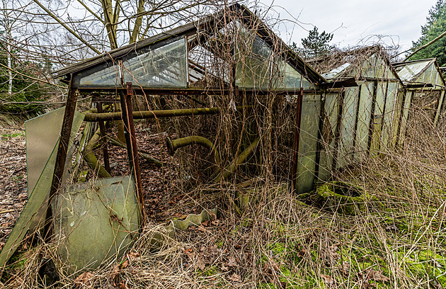 Skleníky v Blovsi u prorstají náletovými stromy.