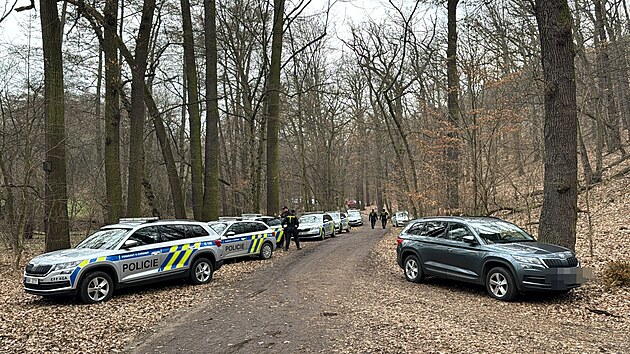 Policisté vyetují znásilnní v Kunratickém lese (5. bezna 2024)