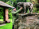 Bandog Ba je parkem rodiny u osm let. Pzuje na kameni z nedalekho lomu,...