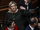 Vdkyn francouzské pravicové strany Národní sdruení Marine Le Penová pichází...