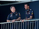 Australský pilo Daniel Ricciardo (vpravo) se baví se éfem Red Bullu...