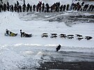 Nicolas Petit po startu musherského závodu Iditarod