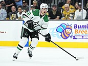 Útoník Dallasu Radek Faksa (12) u kotoue