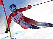 Švýcarský lyžař Marco Odermatt v obřím slalomu Světového poháru v Aspenu.