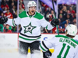 Radek Faksa slaví branku proti Calgary.