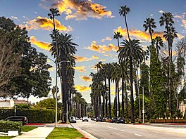 Jen máloco je tak typické pro Los Angeles, jako bulváry lemované vysokými...