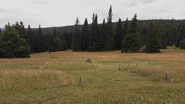 Experiment na Pralouce u Jizerky vznikl na popud Sprvy CHKO Jizersk hory v roce 1999. V lokalit vdci zjiuj, jak obhospodaovat horsk louky s co nejmenmi nklady.