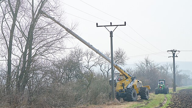 Kolem elektrick�ho veden� je nutn� udr�ovat tzv. ochrann� p�smo. P�i velk�m v�tru, sn�hu a jin�ch kalamitn�ch situac�ch toti� p�erostl� v�tve padaj� na dr�ty a zp�sobuj� v�padky proudu. Udr�ovac� povinnost le�� na majitel�ch pozemk�. (�nor 2024)