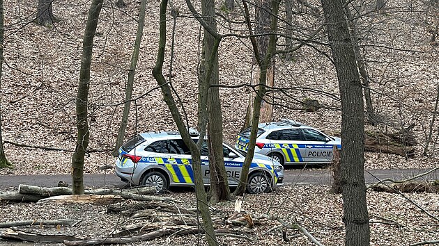 Policist vyetuj znsilnn v Kunratickm lese (5. bezna 2024)