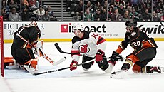 Branká Anaheim Ducks Luká Dostál krotí puk v zápase s New Jersey Devils.