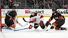 Branká� Anaheim Ducks Luká� Dostál krotí puk v zápase s New Jersey Devils.