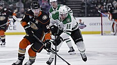 Útoník Dallas Stars Radek Faksa stíhá Rosse Johnstona z Anaheim Ducks.