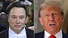 Elon Musk a Donald Trump