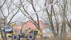 Ludvík Vágner ze Slaviína oezává perostlé stromy pod vedením vysokého naptí...