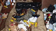 Policisté na Novojiínsku a ve Zlínském kraji odhalili bandu zabývající se...