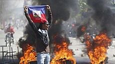 Demonstrant drží haitskou vlajku během protestů požadujících odstoupení...