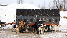 Momentka ze startu musherského závodu Iditarod