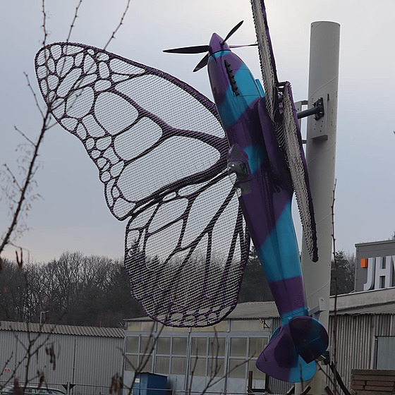 Socha motýla, která má být v kvtnu 2024 na umístna na fasádu OD Máj