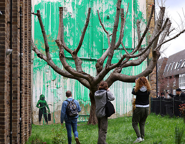 Vedle ořezaného stromu vyrostla nová Banksyho malba, má ekologický apel