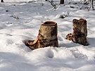 Tradiní sámská obuv (2. února 2024)
