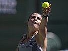 Americká tenistka Emma Navarrová podává na turnaji v Indian Wells.