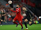 Liverpoolský úto�ník Mohamed Salah (vlevo) stíhaný Veljkem Birman�evi�em ze...