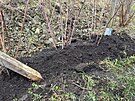 Ka kadému kei pihote dv lopaty kompostu nebo dobe zkompostovaného hnoje. 