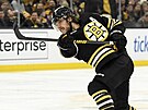 David Pastrák z Boston Bruins pi stele
