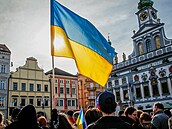 Pomrn dobe se nov píchozí Ukrajinci adaptovali i na pracovním trhu. Hodn...