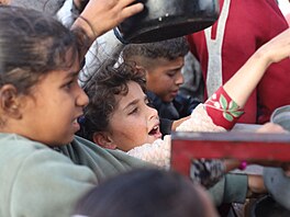 Palestinským civilistm v Pásmu Gazy vetn dtí hrozí hladomor. Snímek pochází...