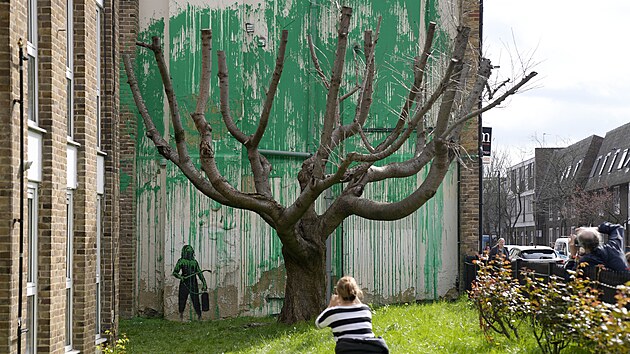 Britsk umlec Banksy zveejnil v Londn novou nstnnou malbu. (18. bezna 2024)
