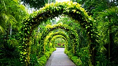 Botanická zahrada v Singapuru má ulechtilé poslání  rozvíjet v lidech lásku z...
