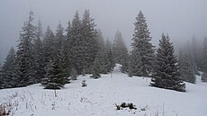 Pohodový výstup z Magurky na Zámostskou ho�u