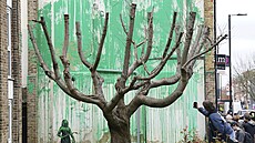 Britský um�lec Banksy zve�ejnil v Londýn� novou nást�nnou malbu. (18. b�ezna...