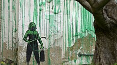 Britský um�lec Banksy zve�ejnil v Londýn� novou nást�nnou malbu. (18. b�ezna...