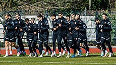 První spolený trénink fotbalové reprezentace v ée nového trenéra Ivana Haka.