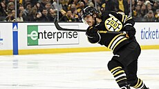 David Pastrák z Boston Bruins pi stele