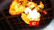 Calgary Flames oslavují ve své hale Scotiabank Saddledome.