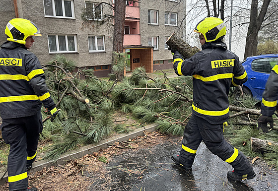 Následky silného vtru v Moravskoslezském kraji. (23. bezna 2024)