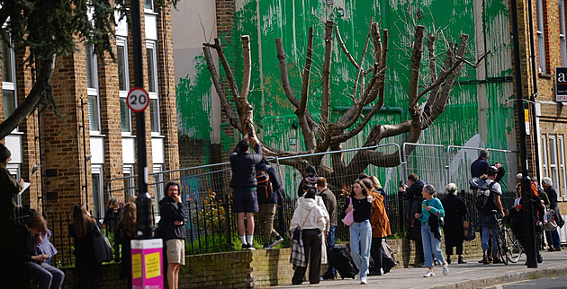Banksyho dokreslené listoví staré třešně někdo polil bílou barvou
