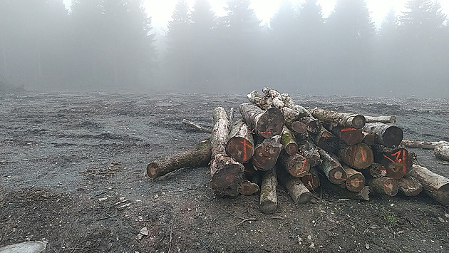 Další zima jako loterie pro řidiče. Parkoviště na Šerlichu se nerozšíří