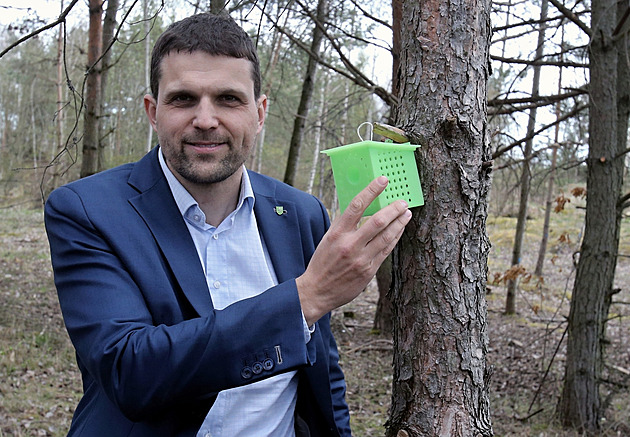 Na cestě k jednomu procentu. Se svazákem Hladíkem se lidovci dostanou hladce mimo sněmovnu