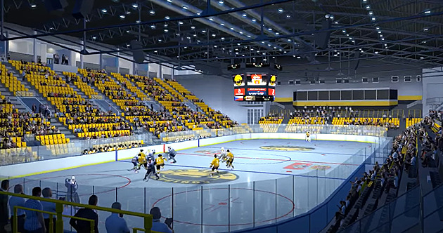 VIDEO: Jak bude vypadat hokejový stadion v Litvínově po přestavbě?