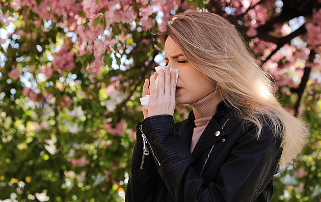 Alergici mají kvůli mírné zimě potíže dříve. Tipy, jak přežít pylovou sezonu